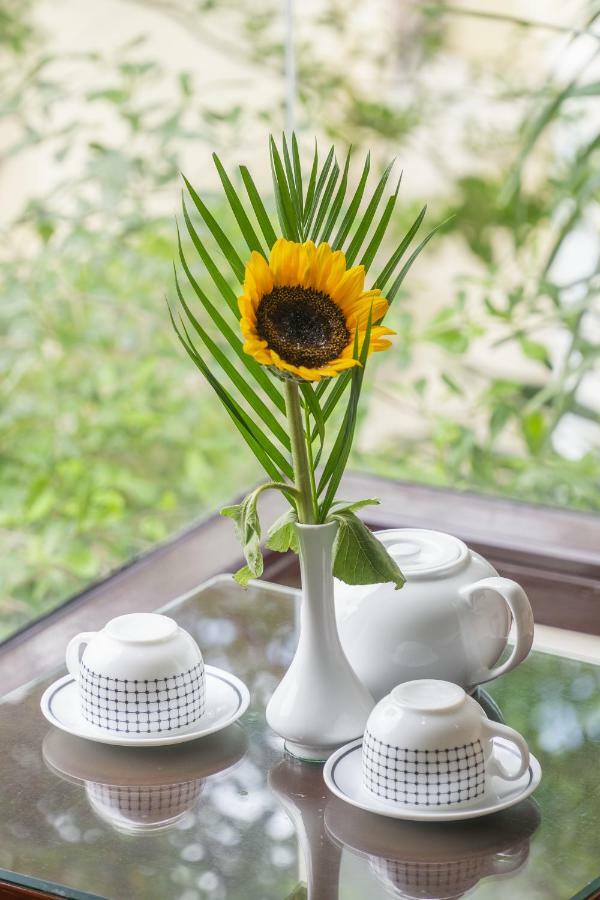 Golden Soulmate Homestay Hoi An Dış mekan fotoğraf