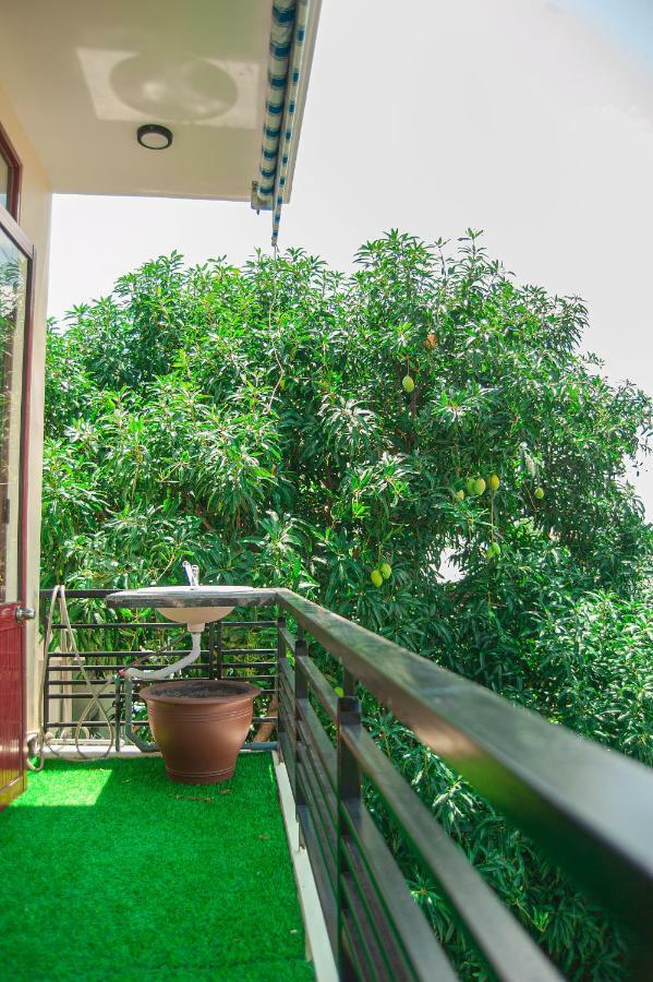 Golden Soulmate Homestay Hoi An Dış mekan fotoğraf